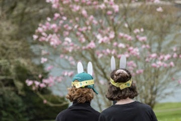 National Trust group visits