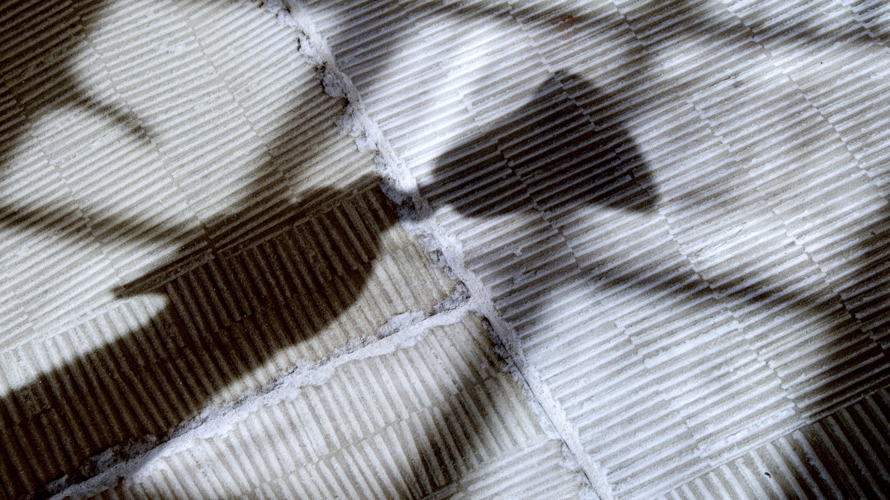 A silhouette of a hand ringing a hand bell at The Workhouse in Southwell, Nottinghamshire,
