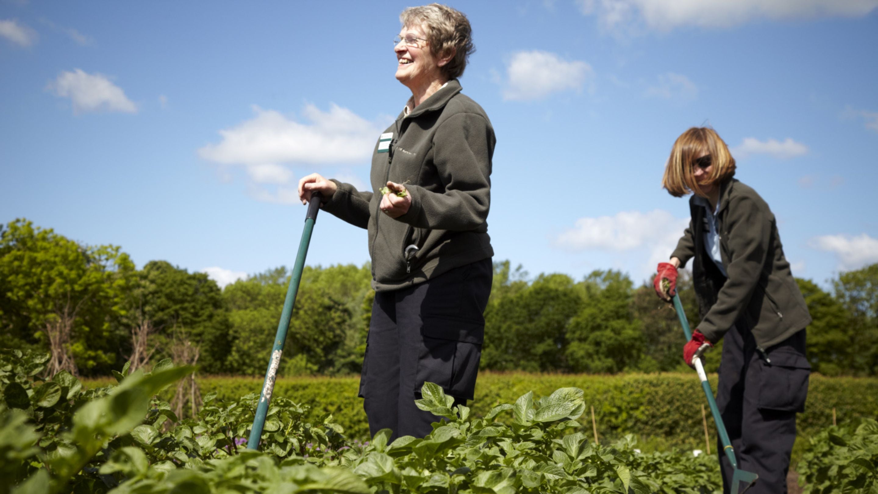 Gardeners working in the recreated C19th garden at The Workhouse, Southwell, Nottinghamshire.