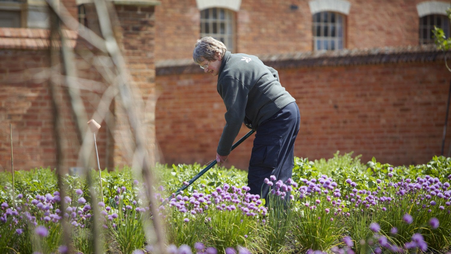 Gardening volunteer at The Workhouse & Infirmary