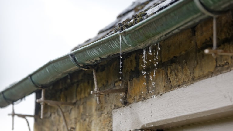 Guttering Services