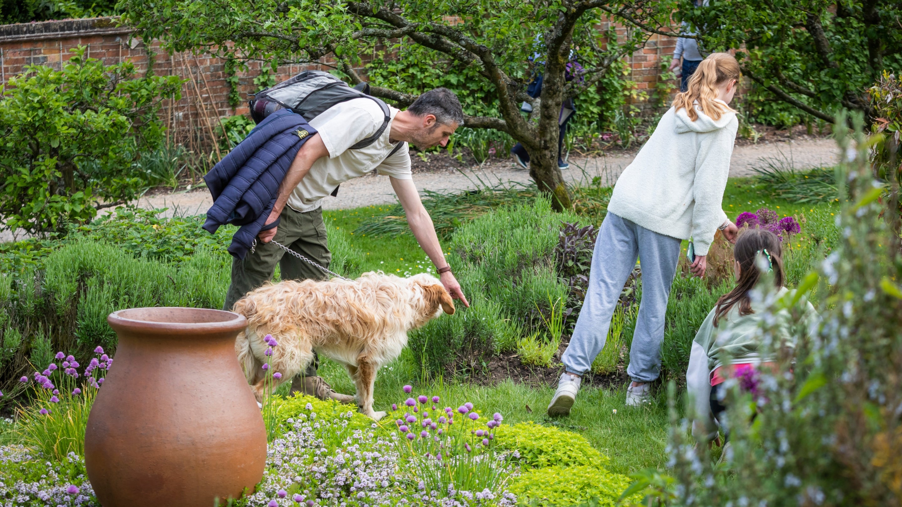 A man pointing something out to a dog on a lead in a garden
