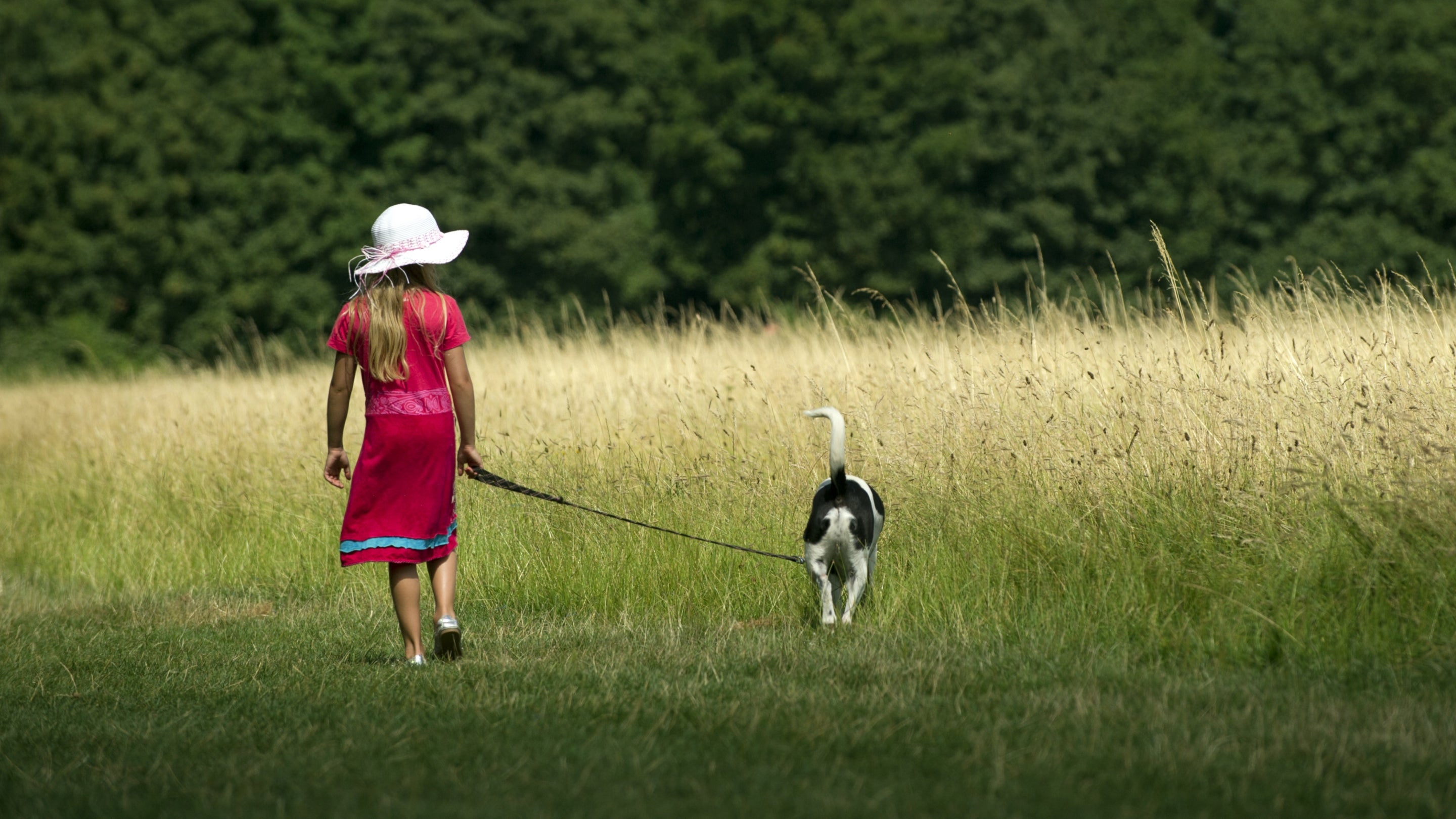 Child in a red dress and hat holding a dog on a lead in a field