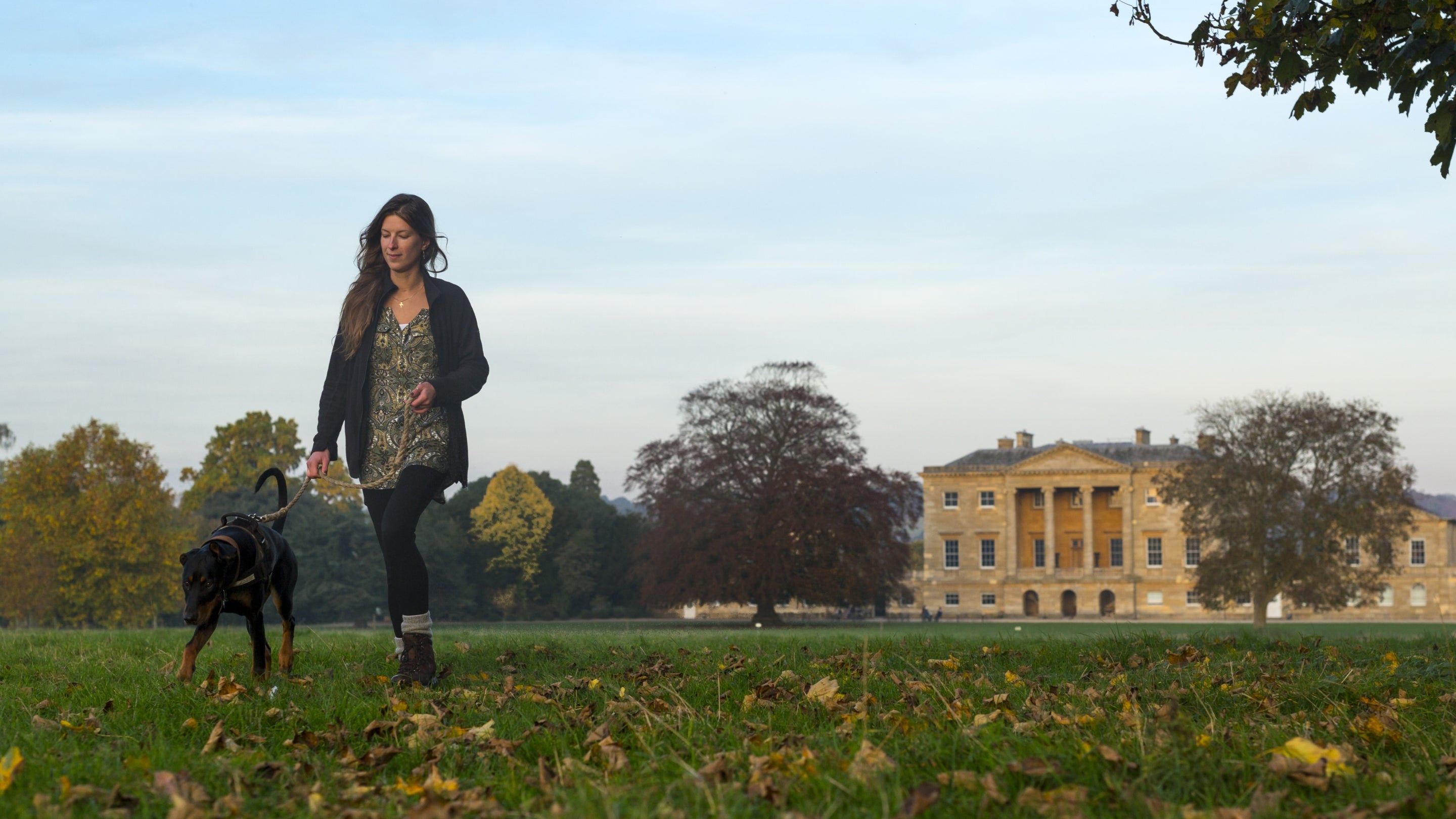 Visitor walking their dog in parkland at Basildon Park, Berkshire