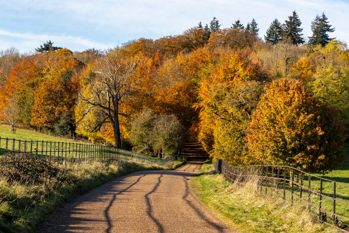 Autumnal colours in the park at Basildon Park