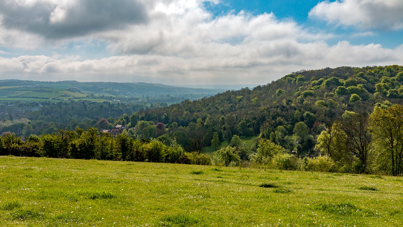 Goring Gap from Lardon Chase, Berkshire