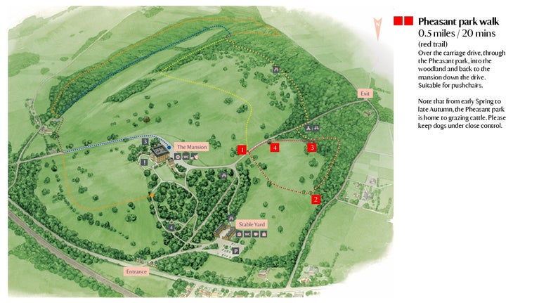 Pheasant Park Trail at Basildon Park (red route)