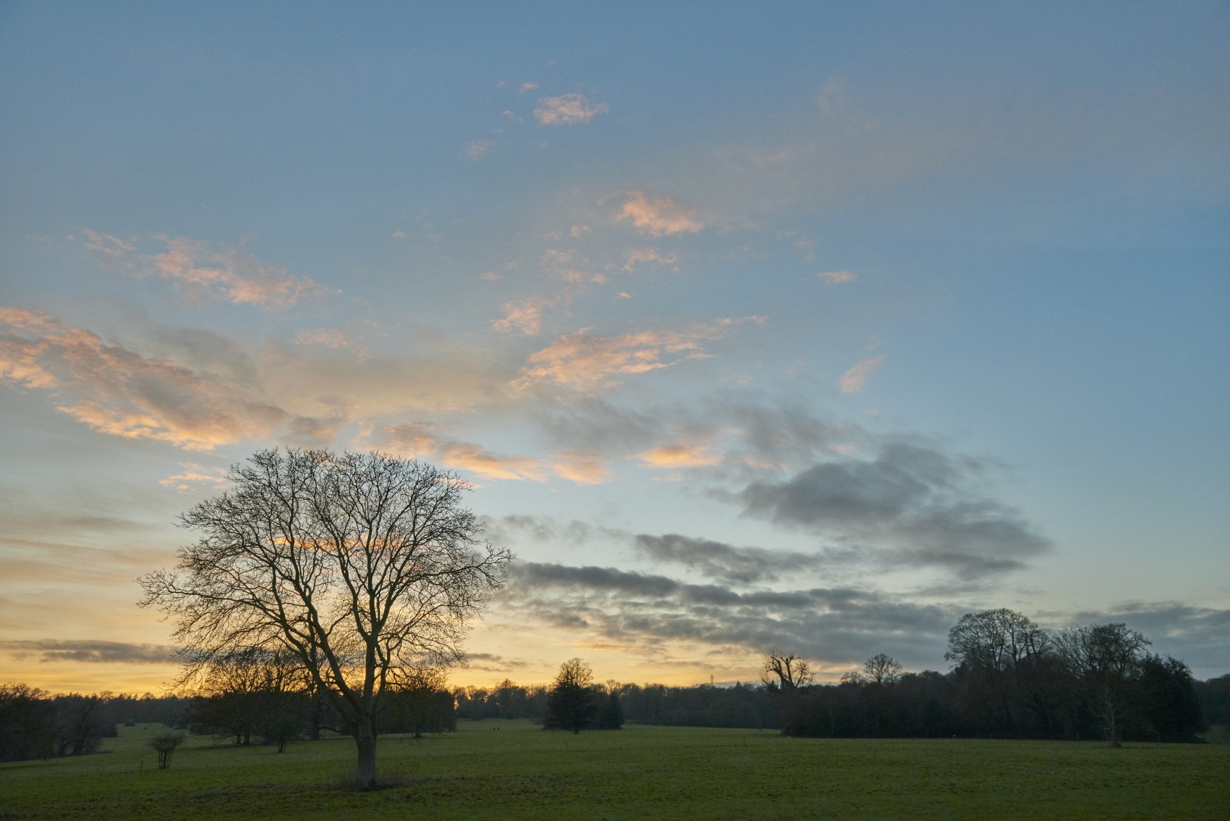 Sunset over the parkland at Basildon Park, Berkshire
