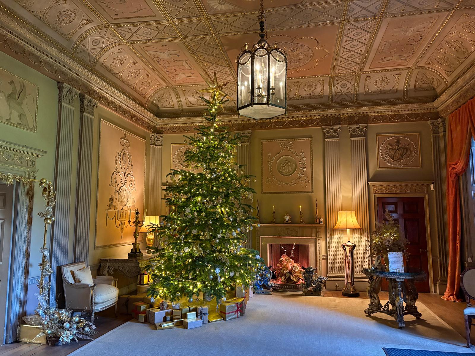 Large Christmas tree in an ornate historic room. The Christmas tree is covered in gold decorations. Basildon Park, Bekshire.