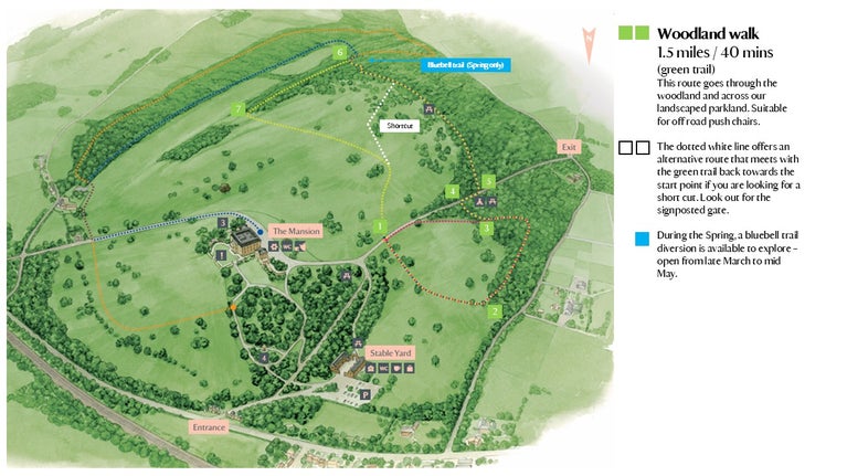 Woodland Trail (green) at Basildon Park