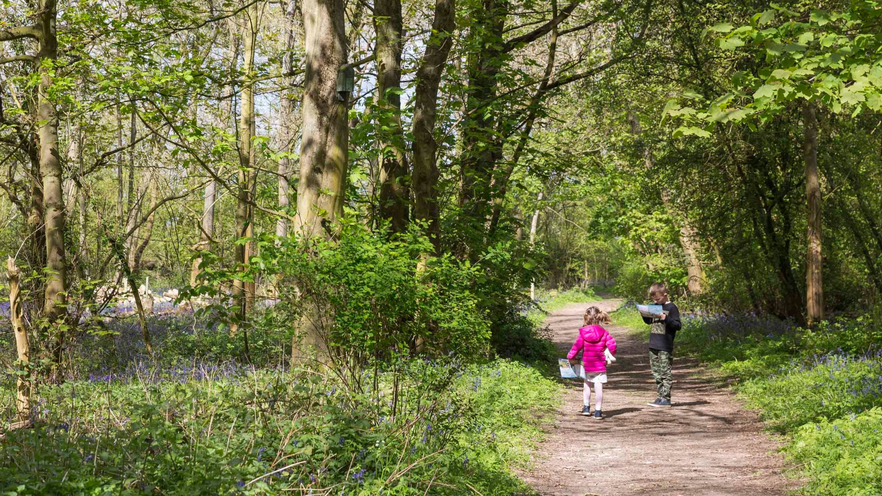 Two children walking on a woodland path at Boarstall Duck Decoy in Buckinghamshire