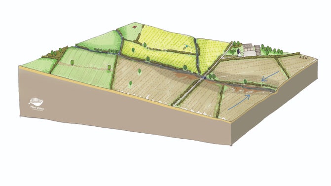 Artistic impression of current arable farmed landscape at Buscot and Coleshill estate