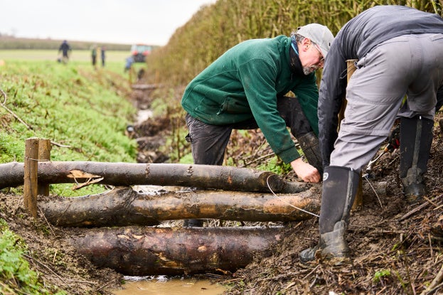 Volunteers installing leaky dams at Buscot