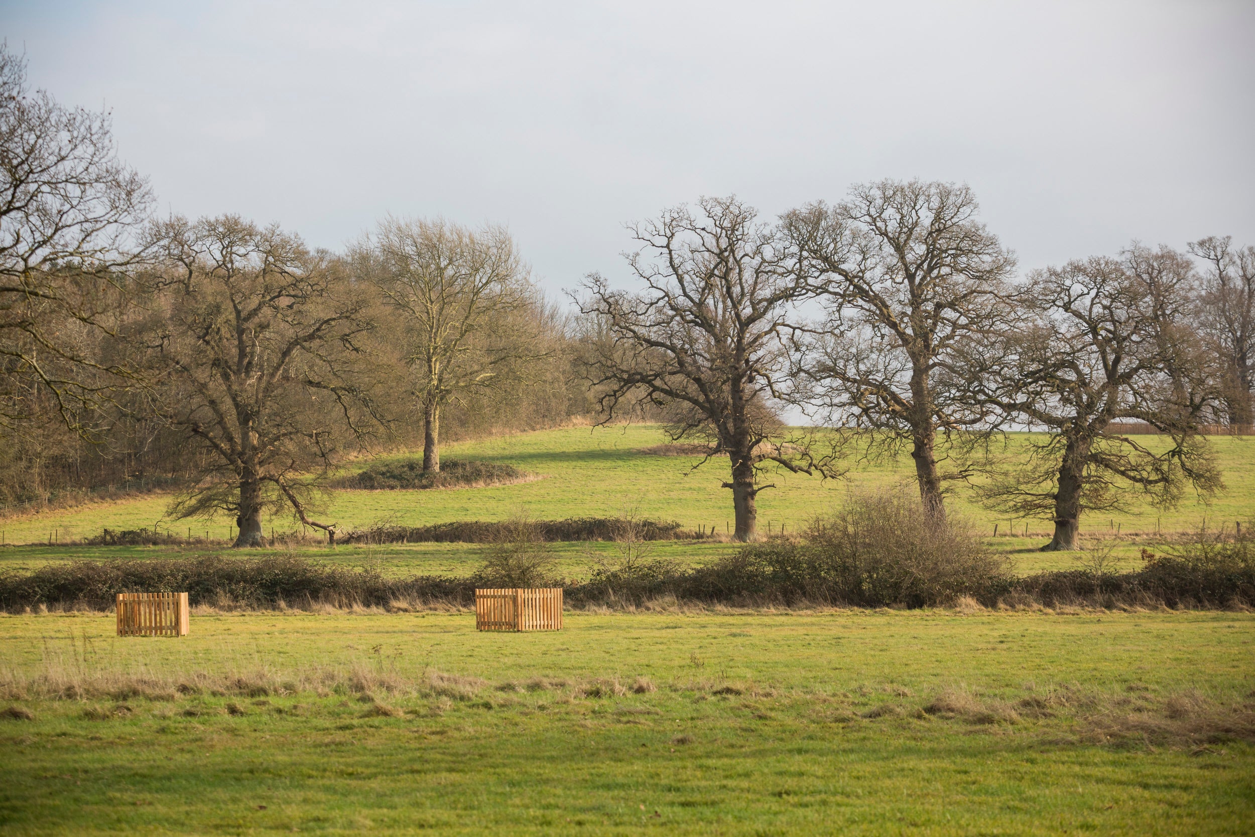Tree planting on the Buscot and Coleshill Estate, Oxfordshire