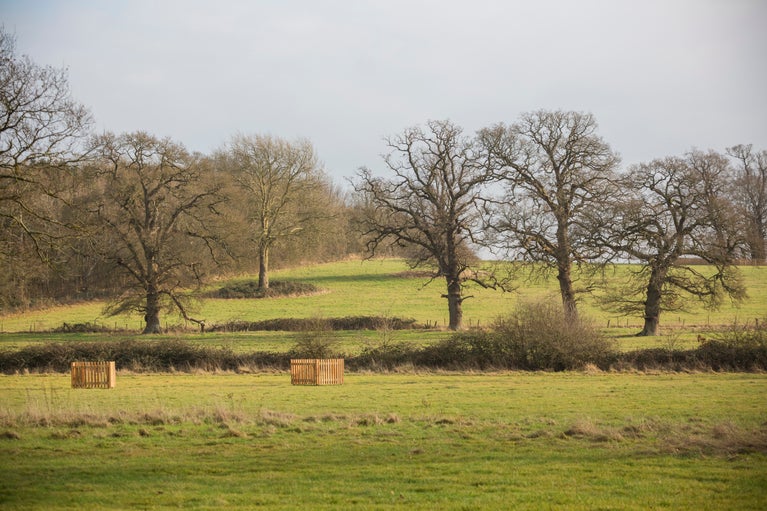 Tree planting on the Buscot and Coleshill Estate, Oxfordshire