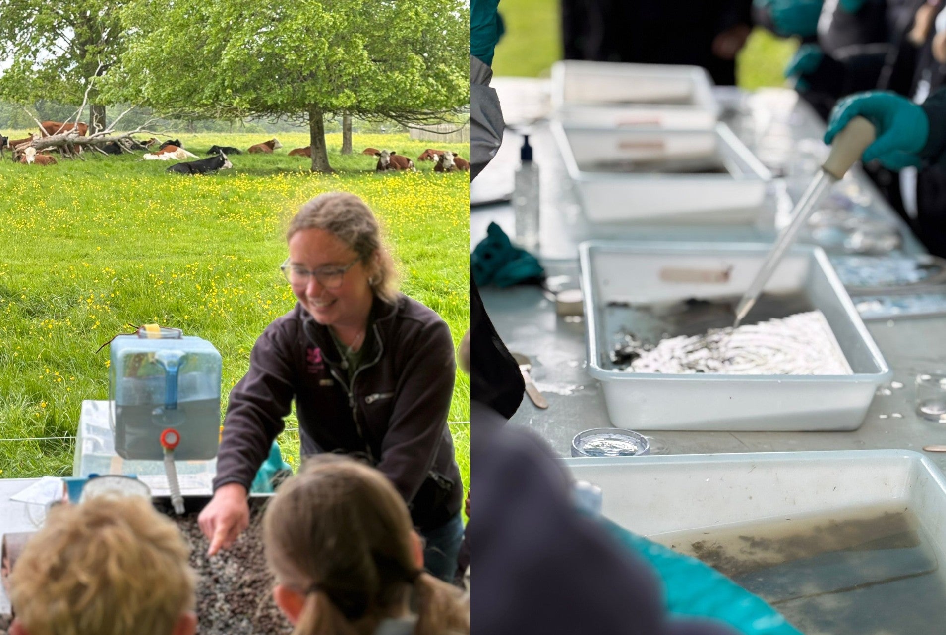 Two images side by side showing a female National Trust staff member delivering a talk to primary-aged pupils, with their backs to the camera, and a row of water trays lined up as part of an experiment on water quality