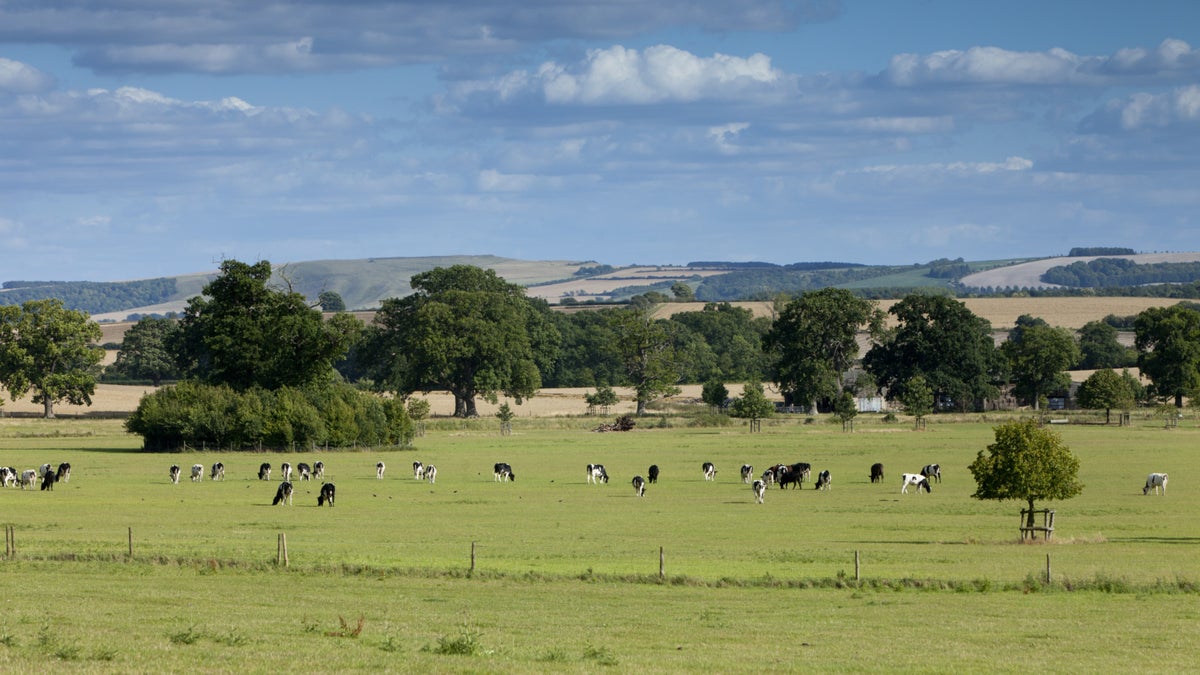 Coleshill purple walk Oxfordshire National Trust