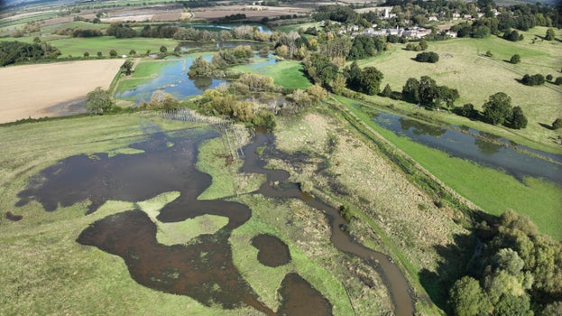 A landscape with ponds, rivers, wetlands, grass and trees