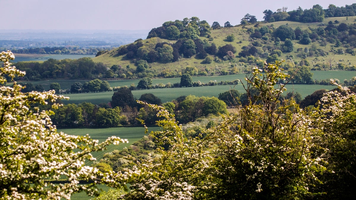 Watlington Hill and Wormsley Estate walk | National Trust