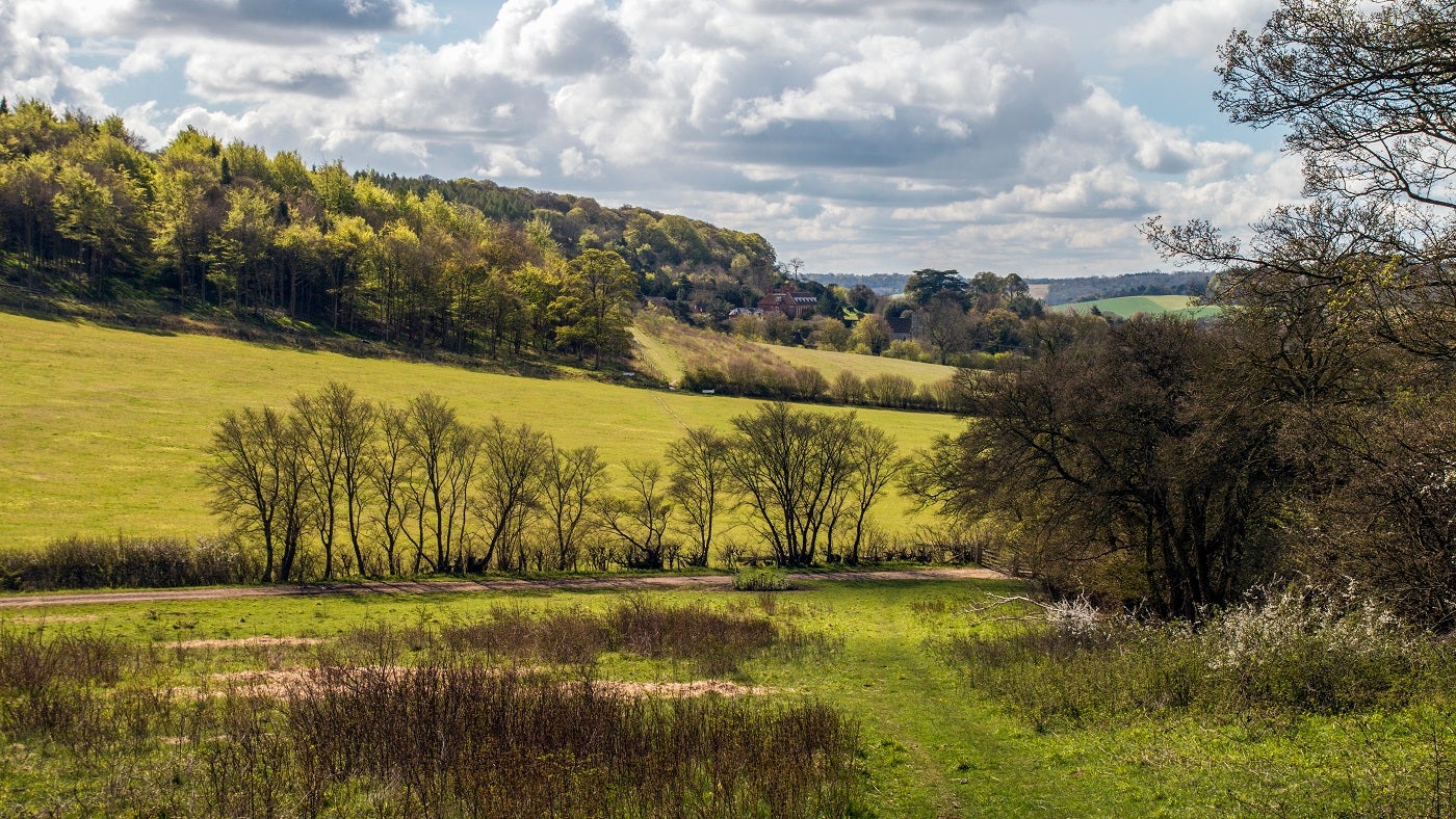 Bradenham in early spring in the Chilterns countryside, Buckinghamshire