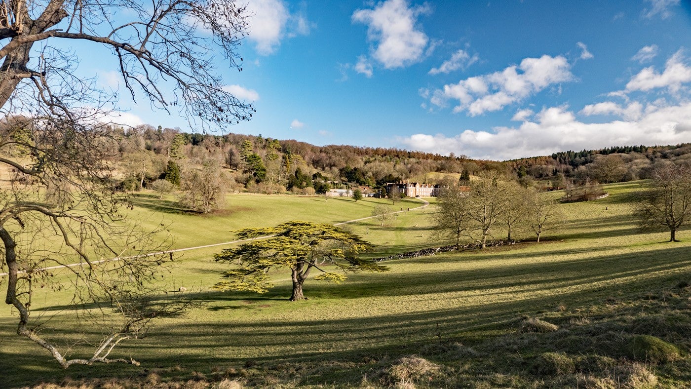View of sloping estate parkland dotted with trees with large house and driveway in the distance