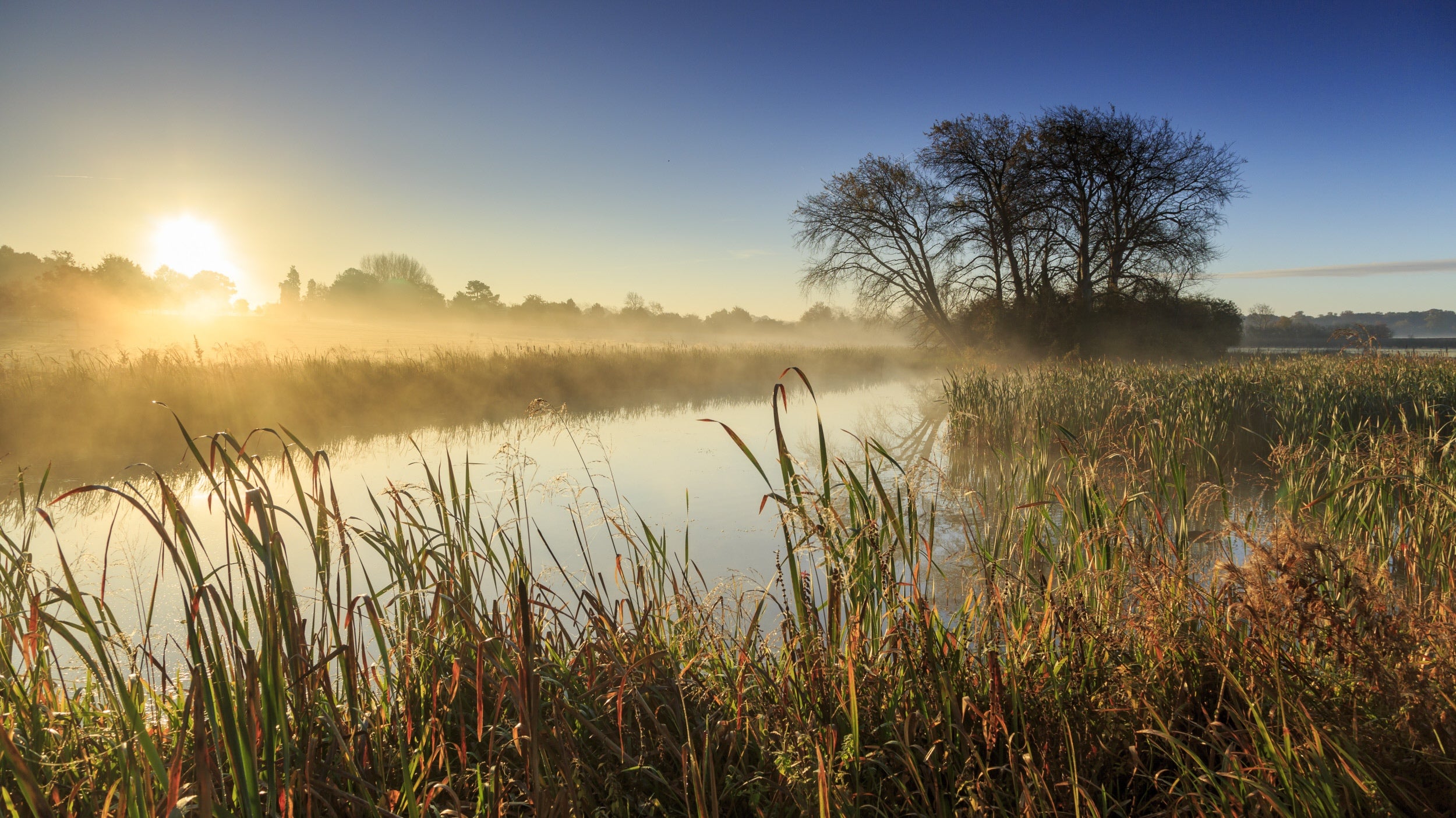 Yellow sunrise over a river with morning mist rising and blue skies above. As the river tapers into the distance on the right, are a silhouetted clump of trees.