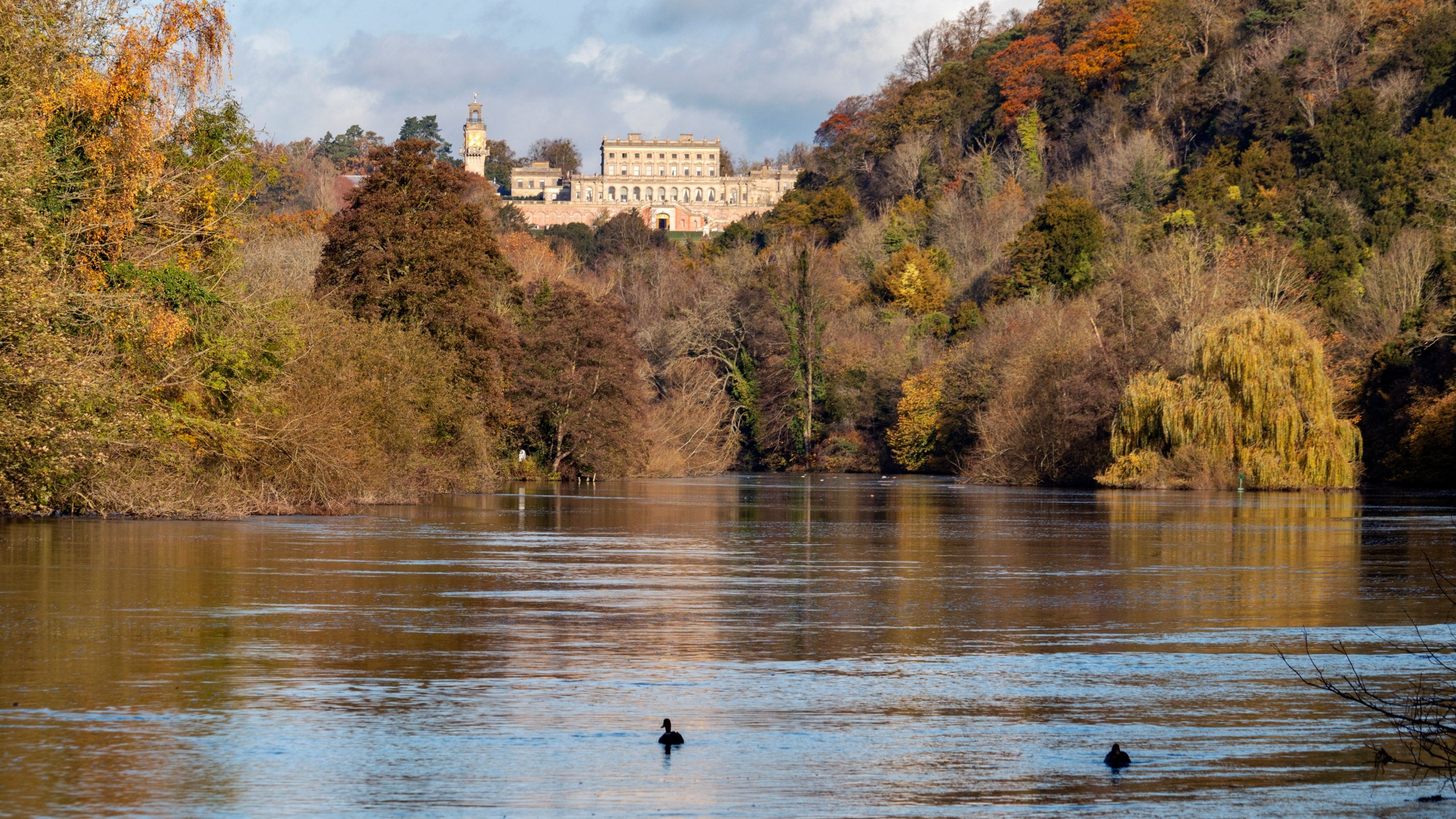 View from the river Thames of trees on autumnal colours, with the house above them at Cliveden, Buckinghamshire