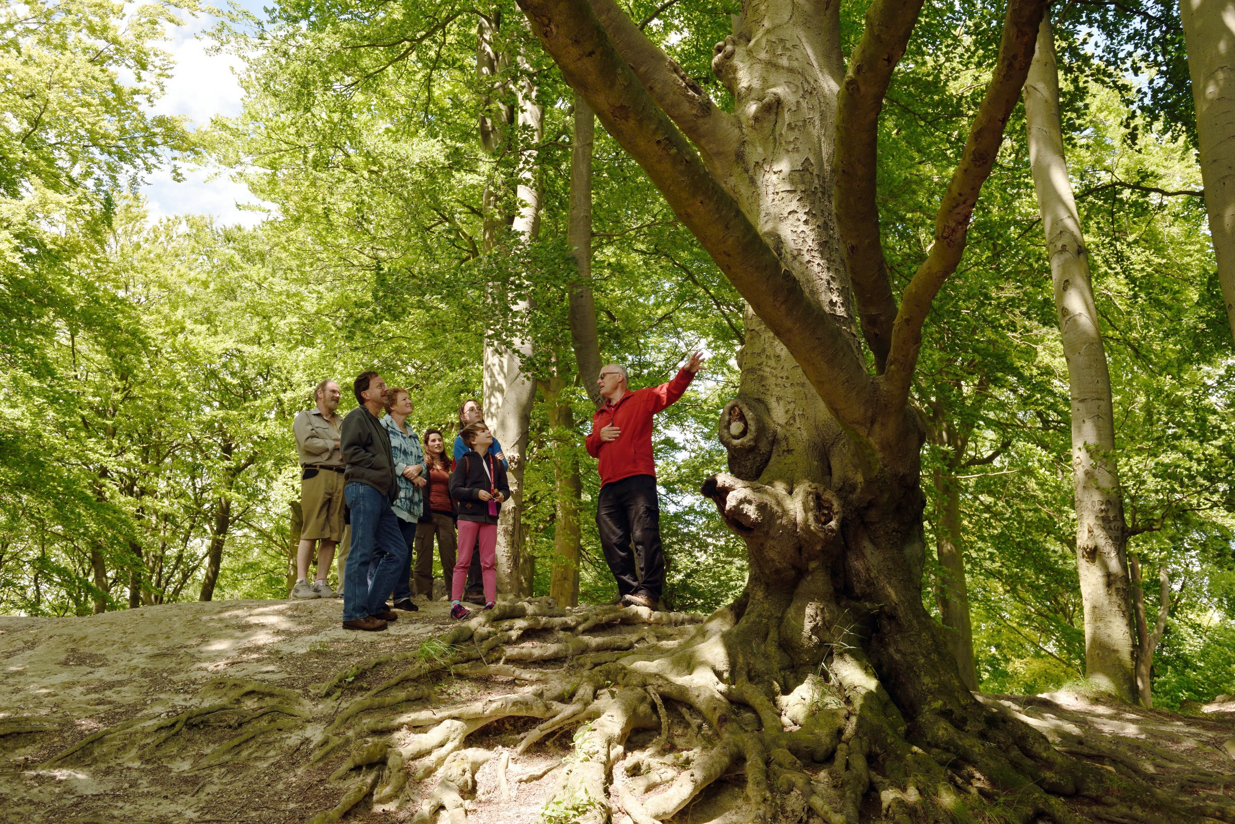 Visitors on a guided nature walk with a volunteer ranger.