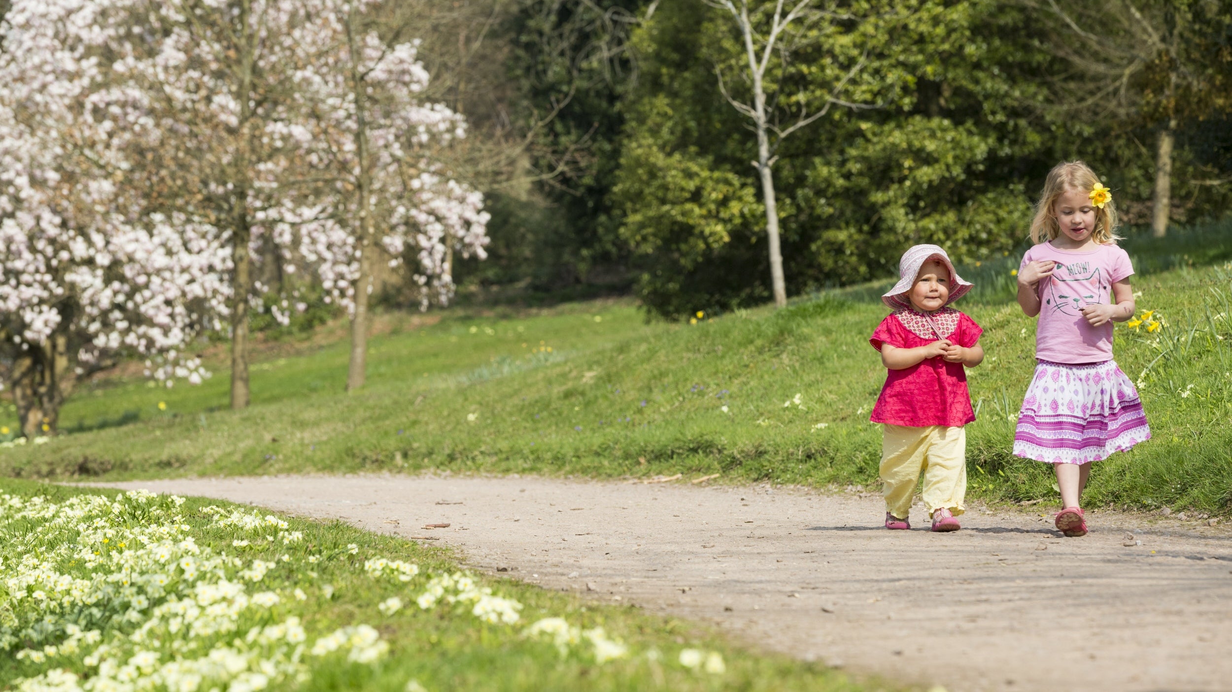 Two small children wearing pinks and reds walking along a paved path with primroses in the foreground and a blossom tree in the background