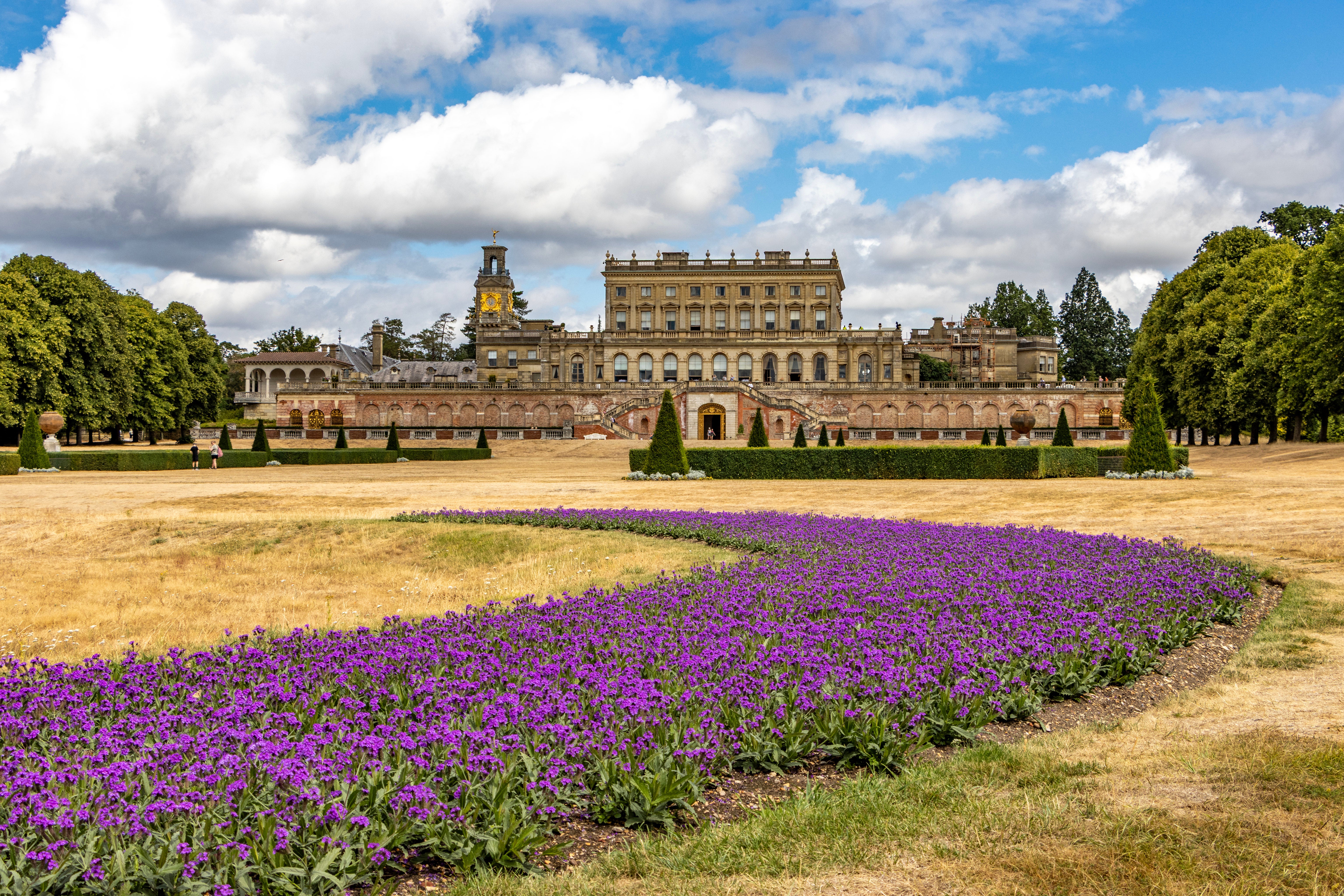 The parterre at Cliveden in summer