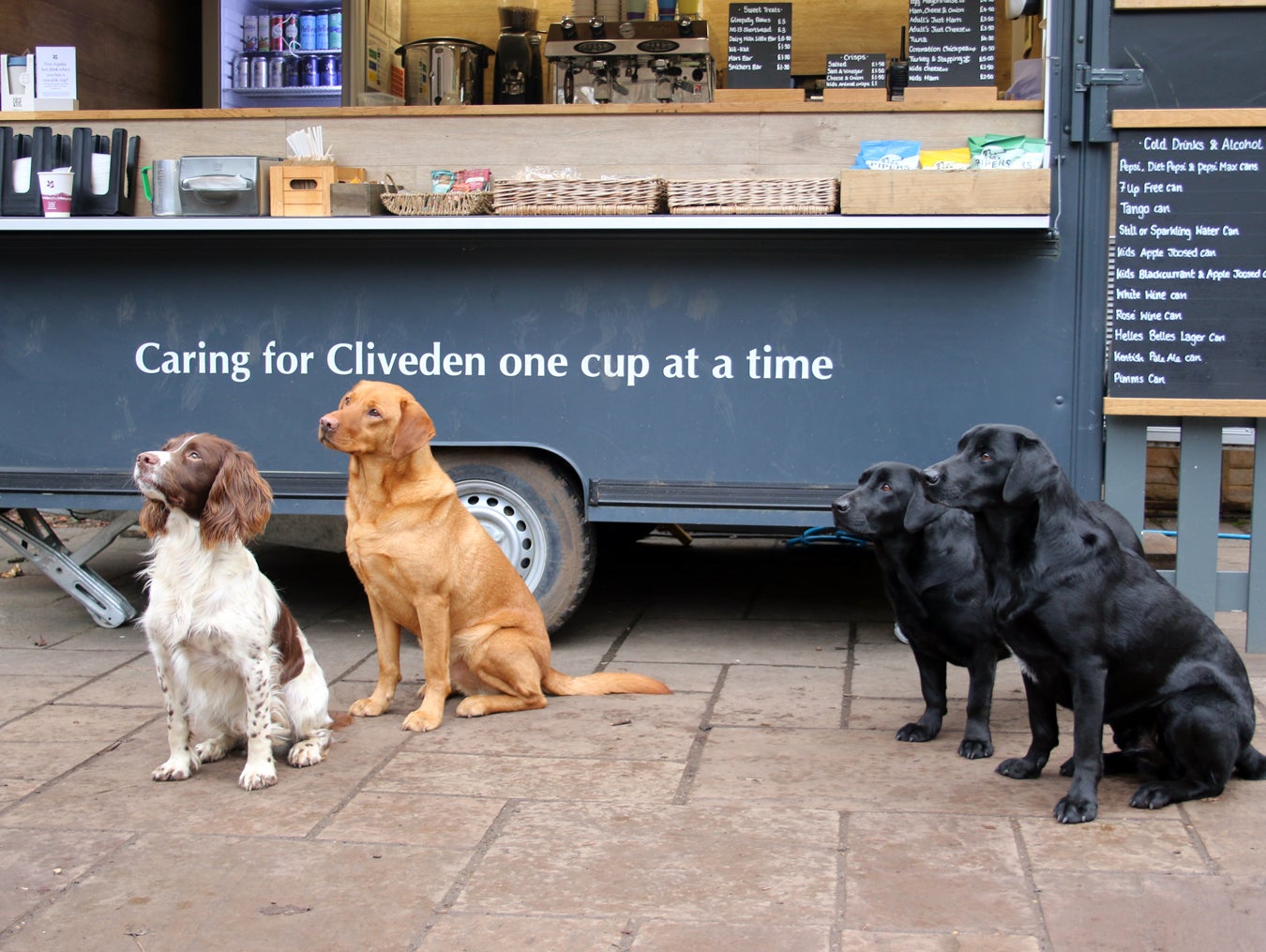 Dogs at the Woodlands Lounge at Cliveden, Buckinghamshire.