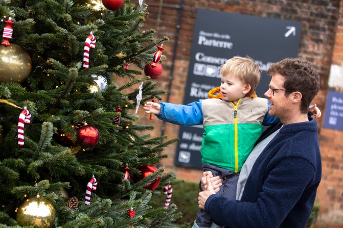 Visitors admiring the Christmas tree in the Walled Garden