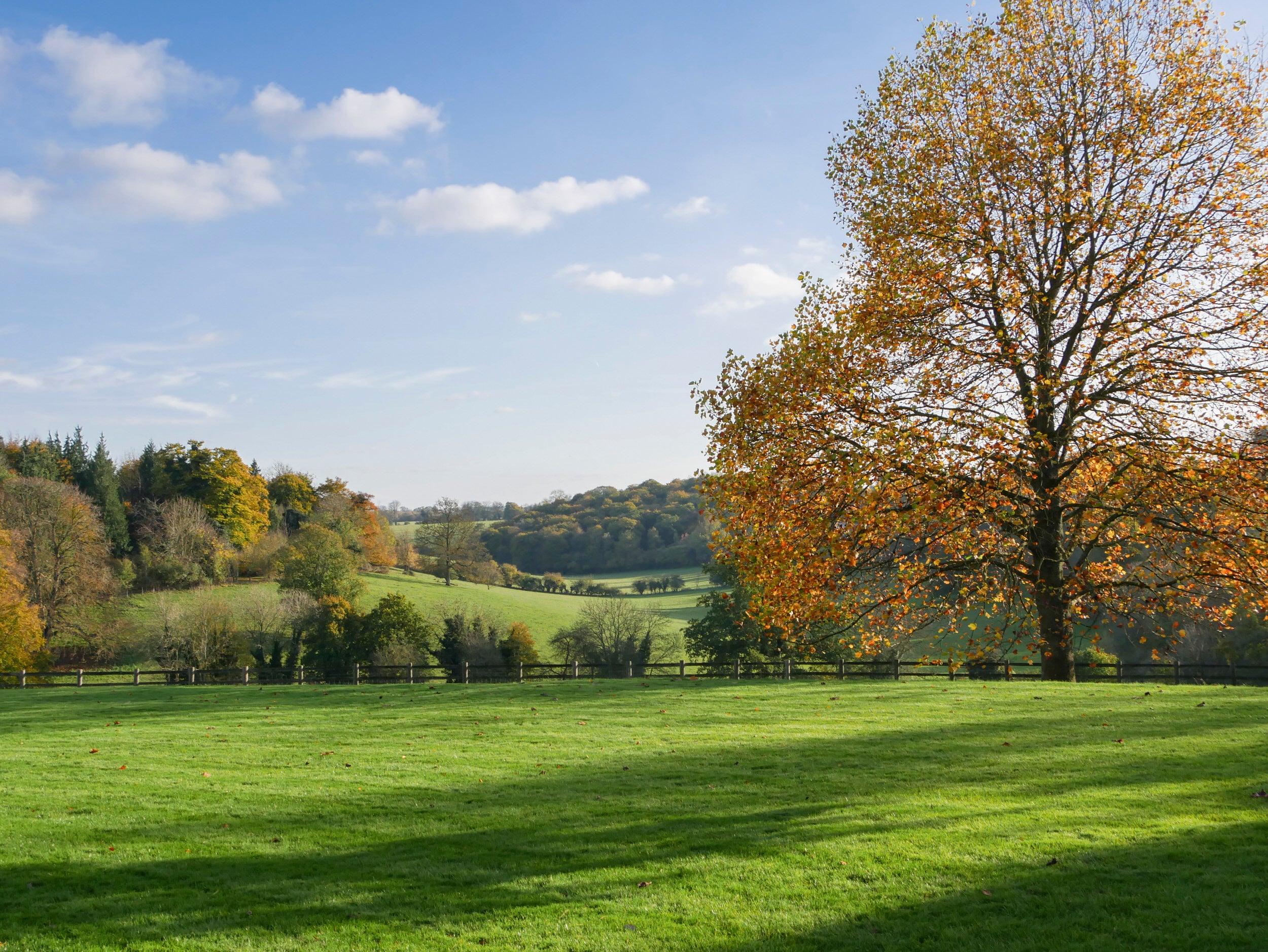Autumn at Greys Court