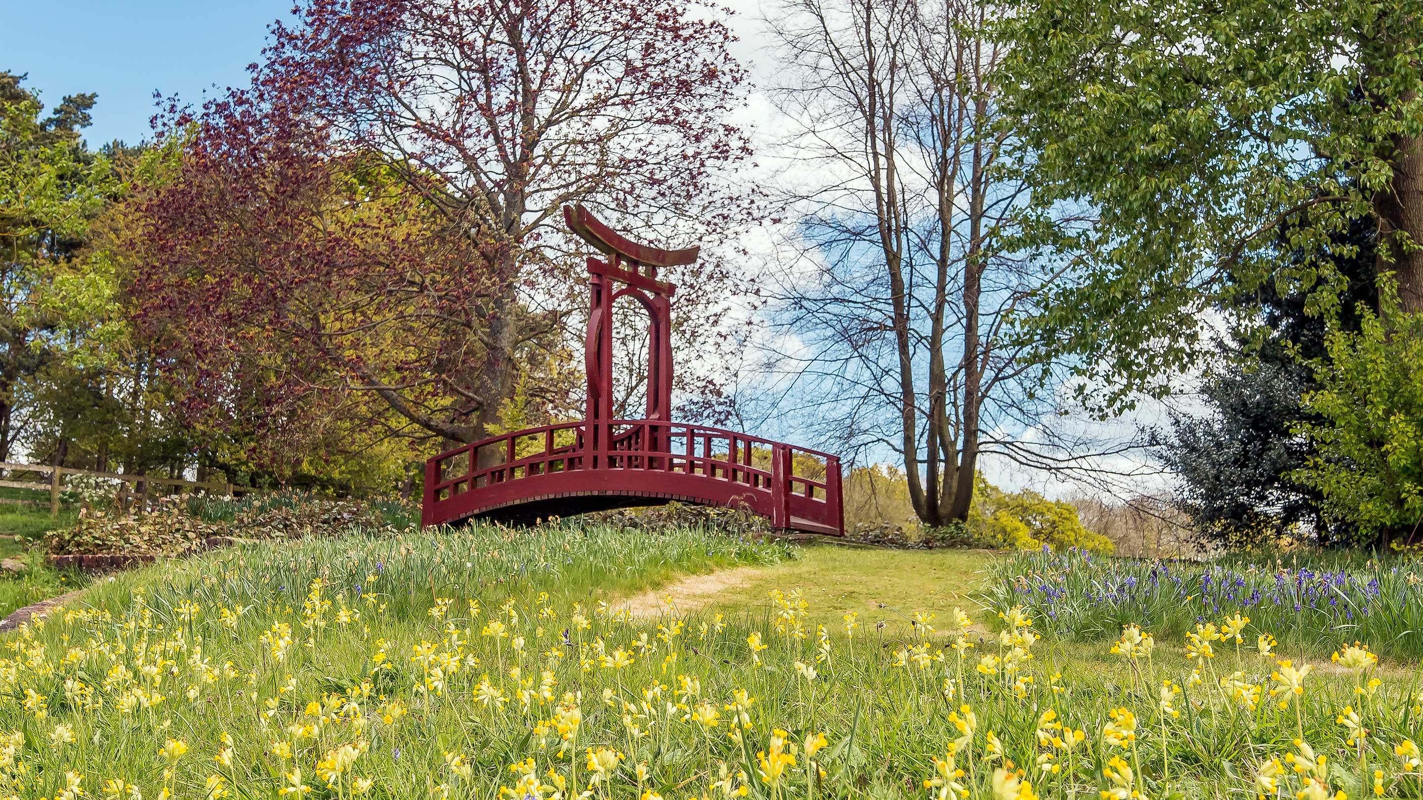 The Chinese Bridge and Moon Gate at Greys Court surrounded by daffodils