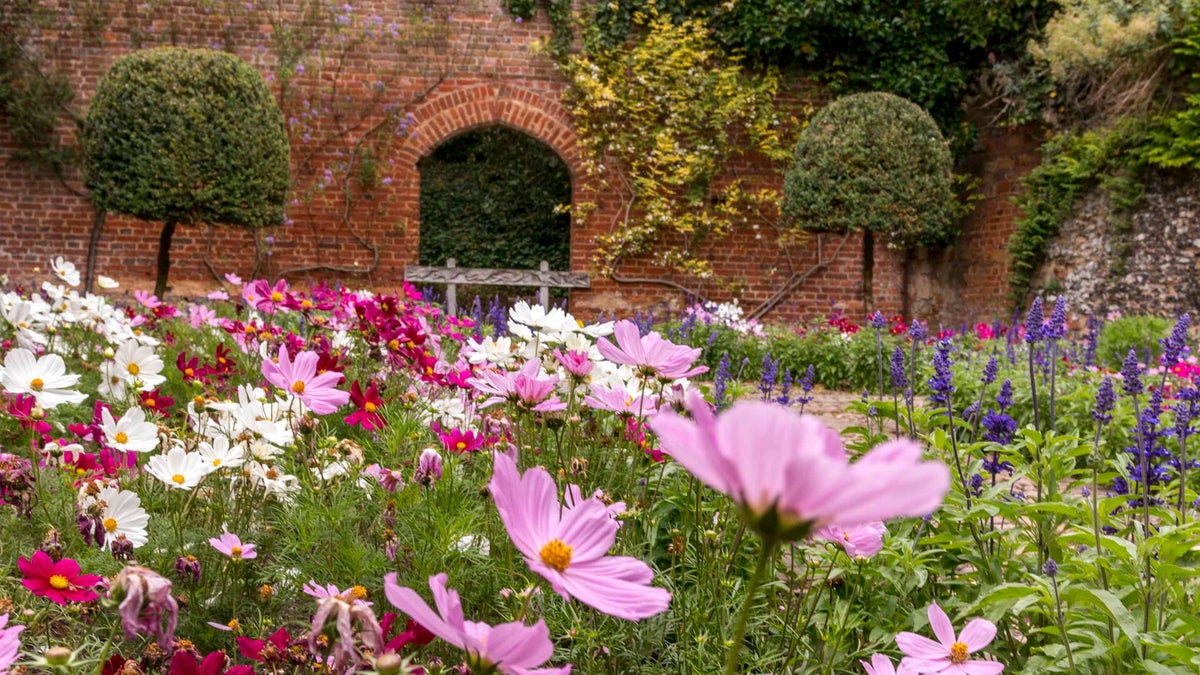 The garden at Greys Court Oxfordshire National Trust