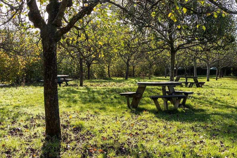 The Orchard  Hughenden Manor