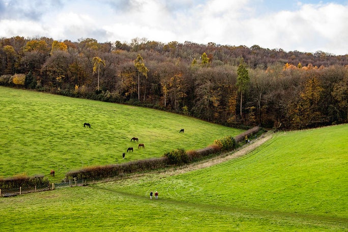 Echo valley view, Hughenden, Bucks