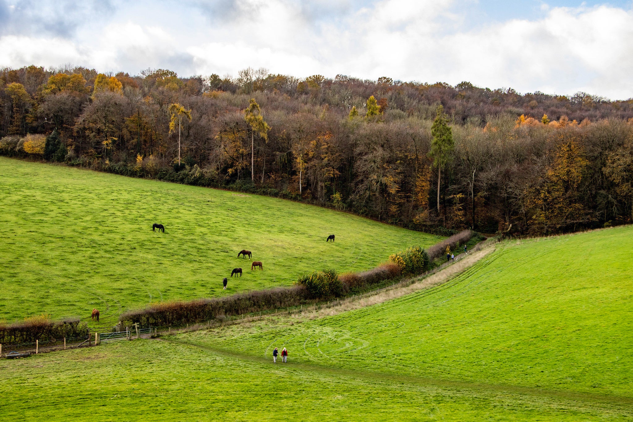 Echo valley view, Hughenden, Bucks