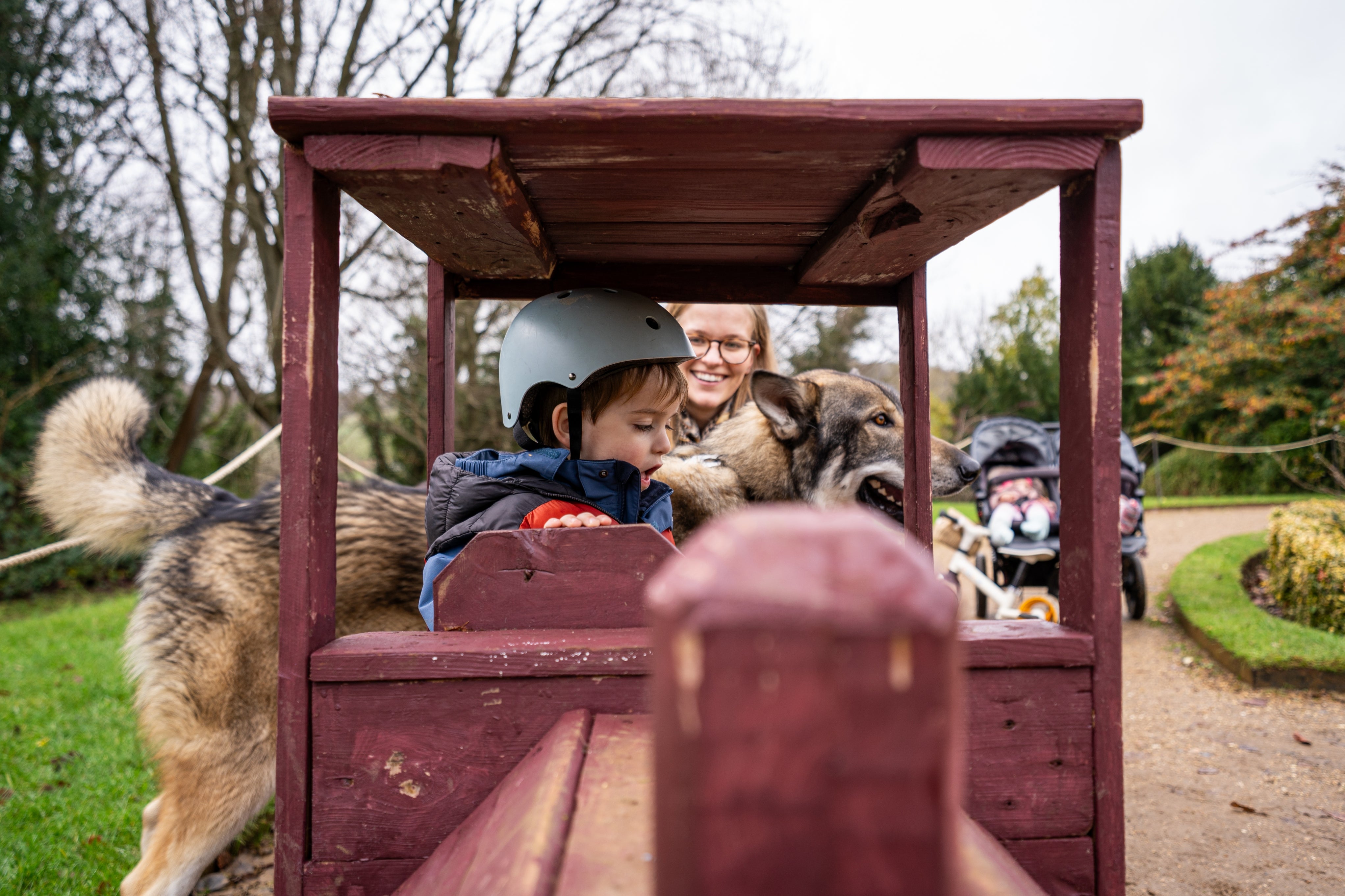 A child, dog and woman on the christmas trail at Hughenden sitting on a wooden train.