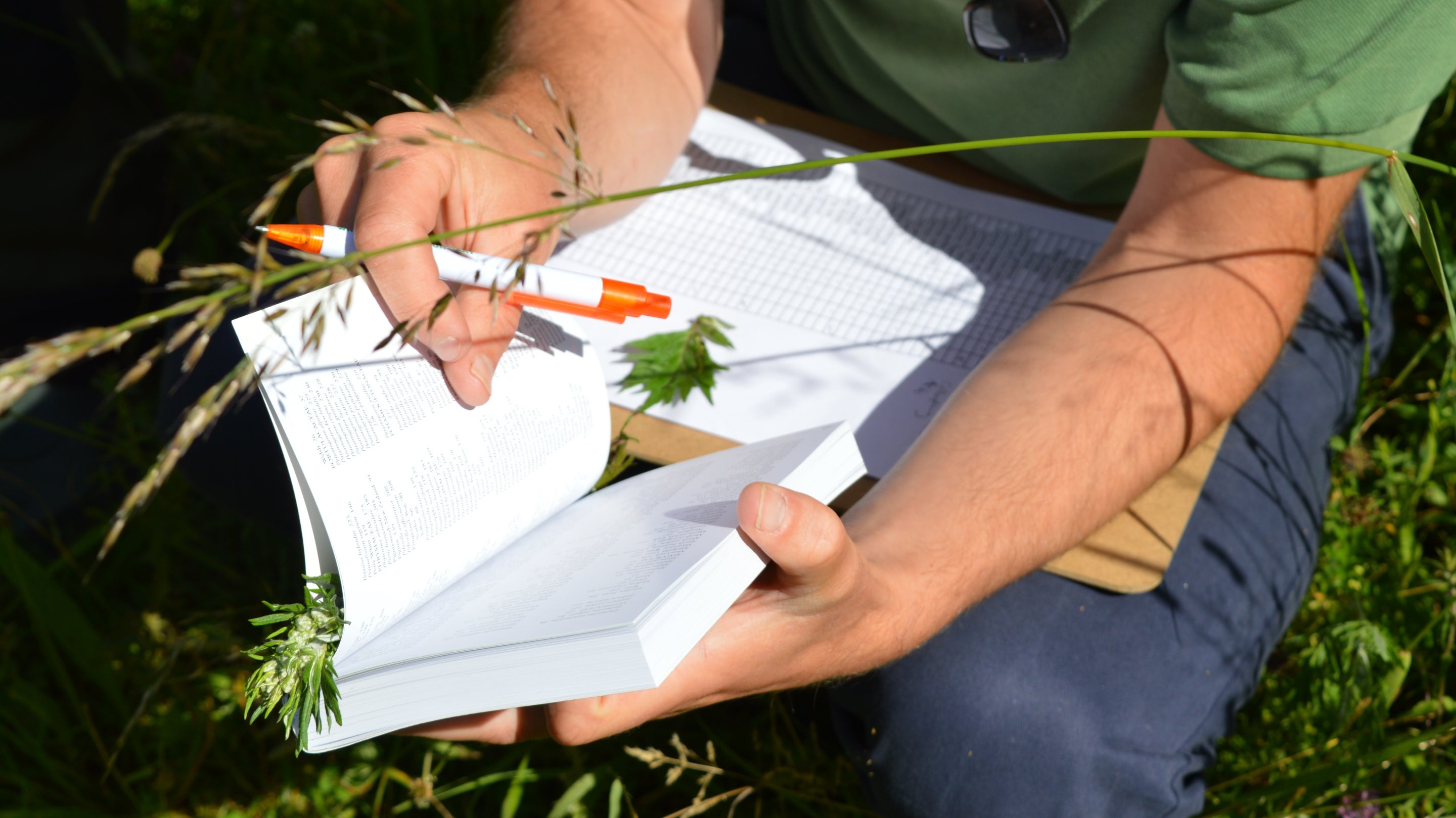 Wild flower survey volunteers at Hughenden Manor, Buckinghamshire
