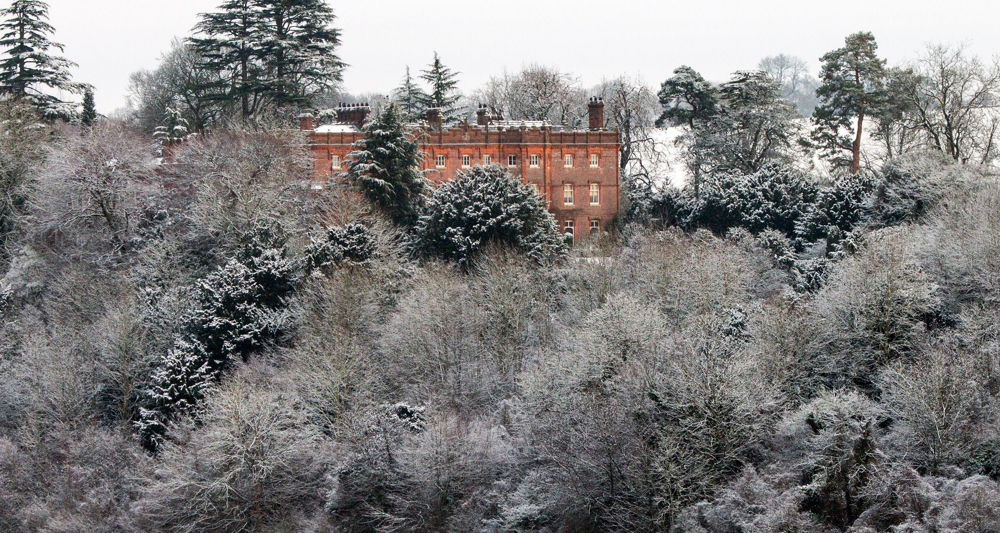 Winter trees with the house peering behind at Hughenden