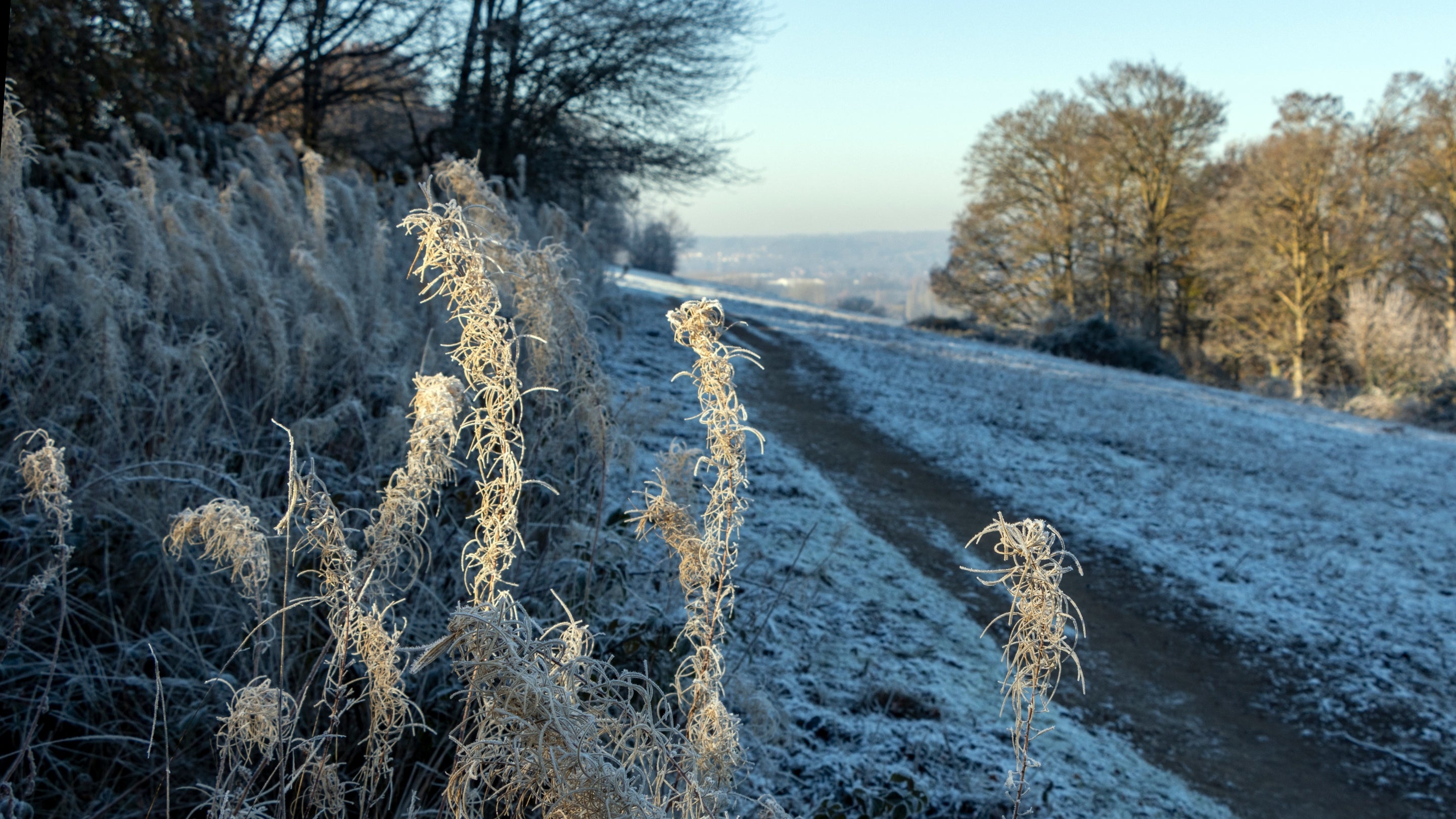 Frosty hillside on a sunny day