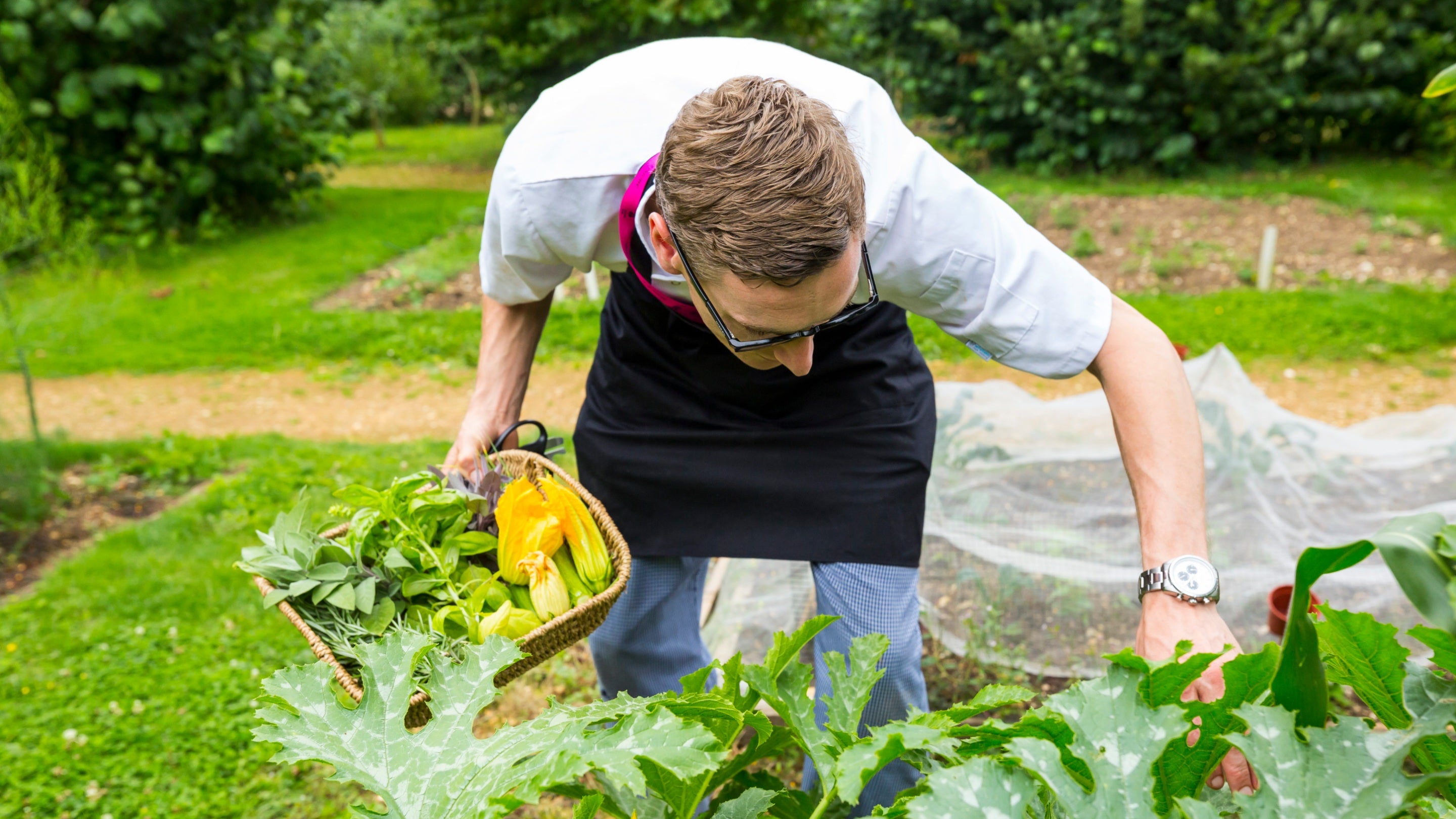 Catering assistant gathering herbs and vegetables from the Kitchen Garden at Stowe, Buckinghamshire