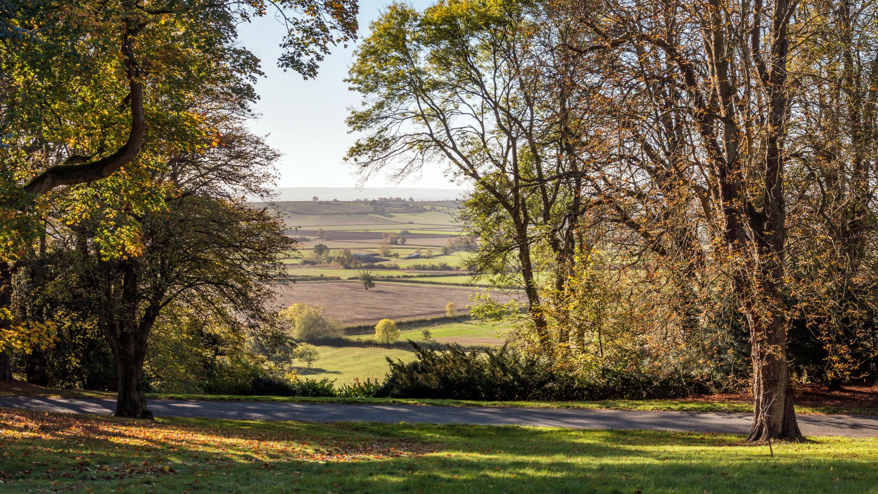 View from the estate at Waddesdon Manor, Buckinghamshire, looking out between trees to far-distant fields below