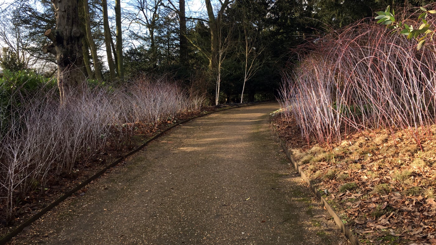 Winter Garden at Waddesdon Manor, Buckinghamshire