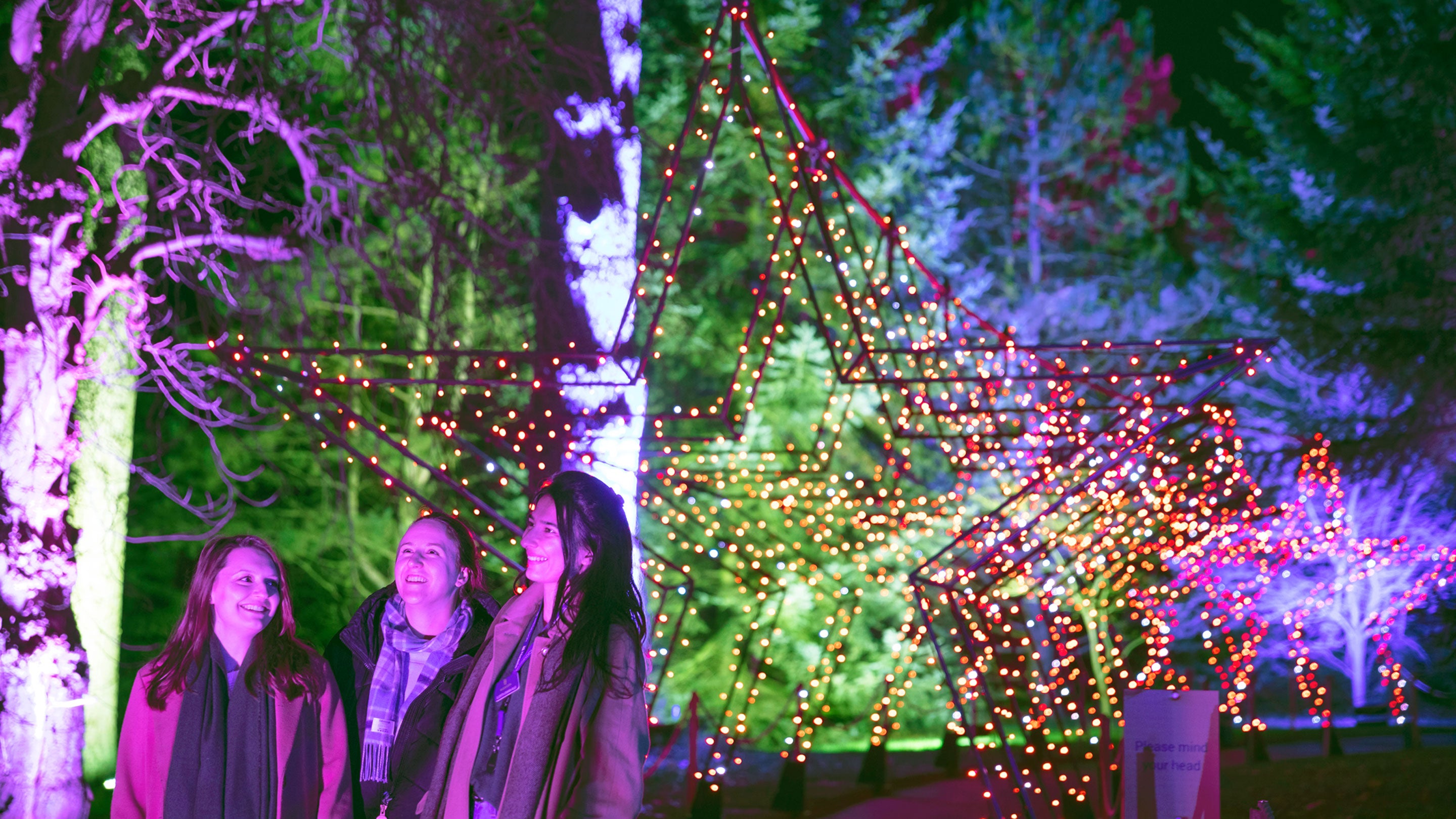 Coloured lights in the trees at Waddesdon with people in the foreground