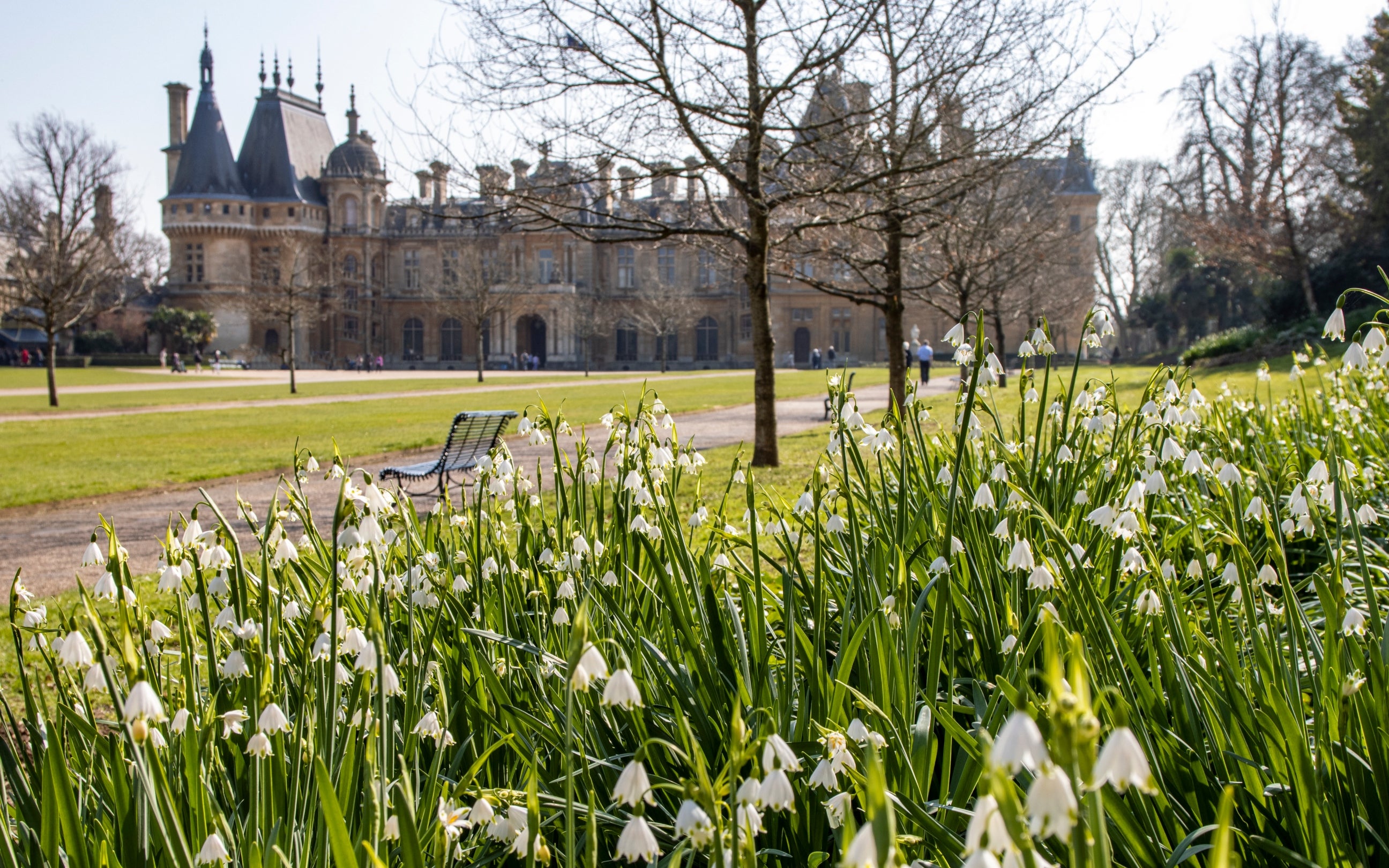 View of Waddesdon Manor in winter with snowdrops in the foreground