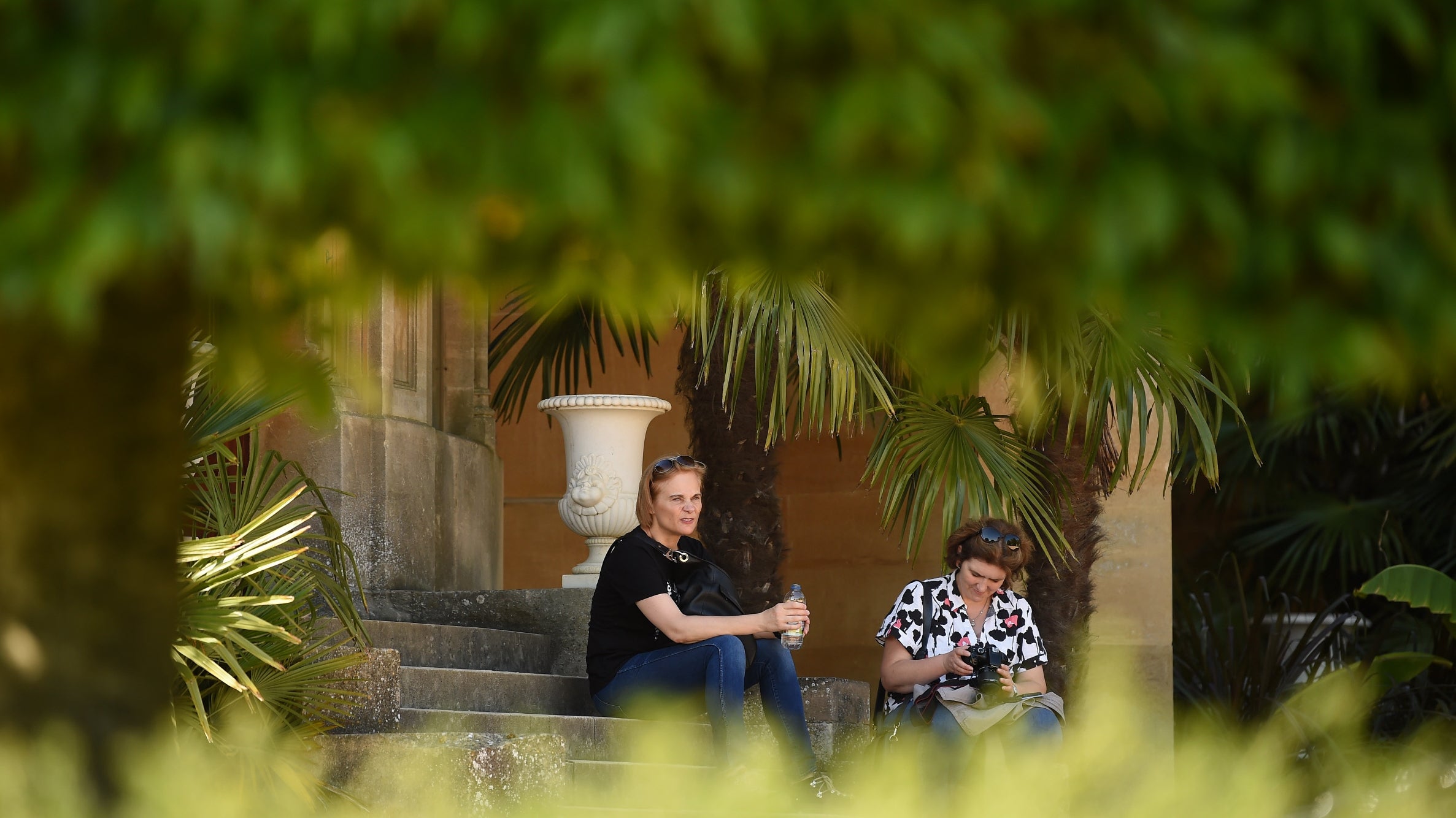 Two women sitting on stone steps surrounded by tropical green foliage.