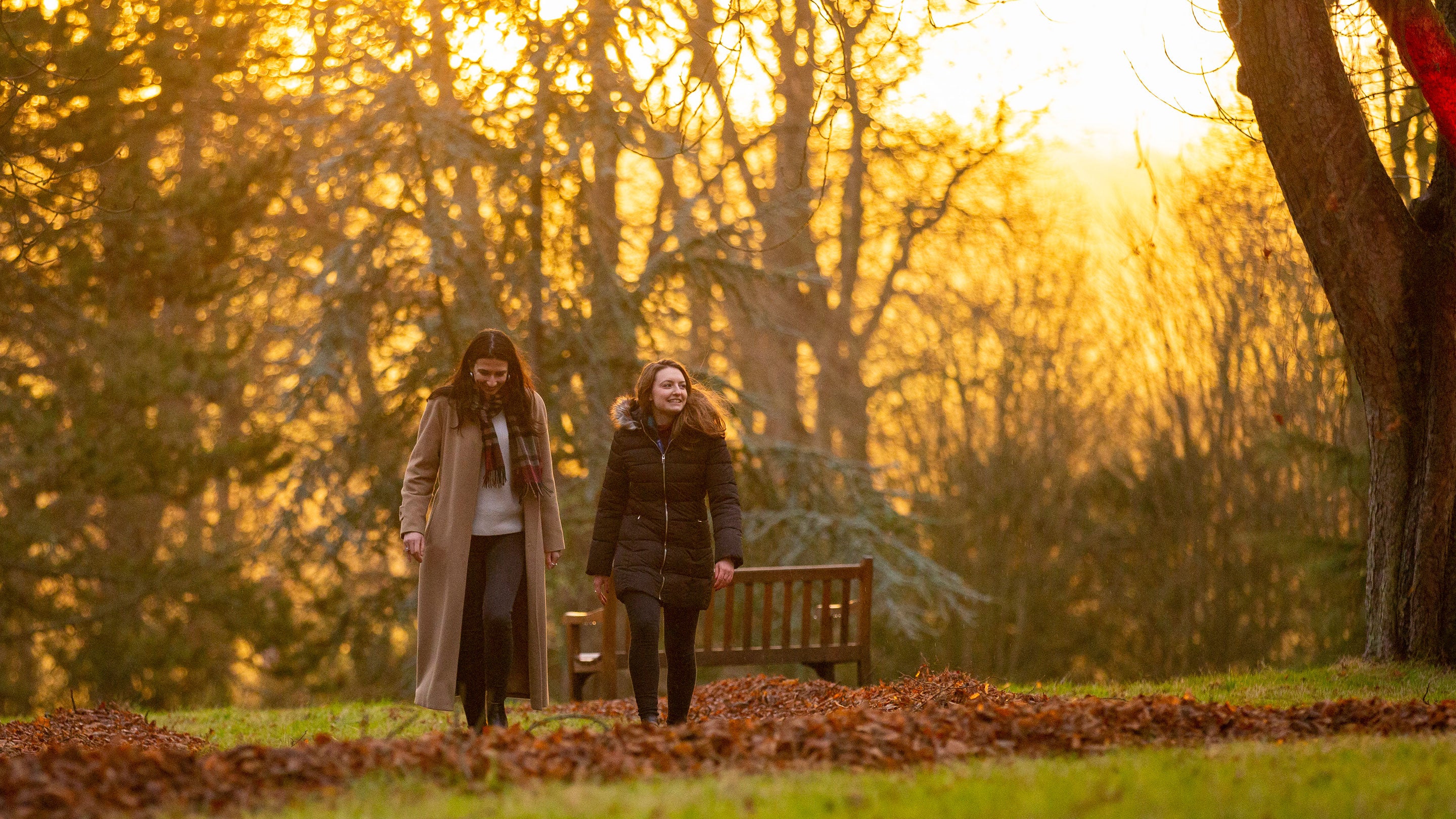 People walking in the garden at Waddesdon in winter with warm sunlight streaming through the trees