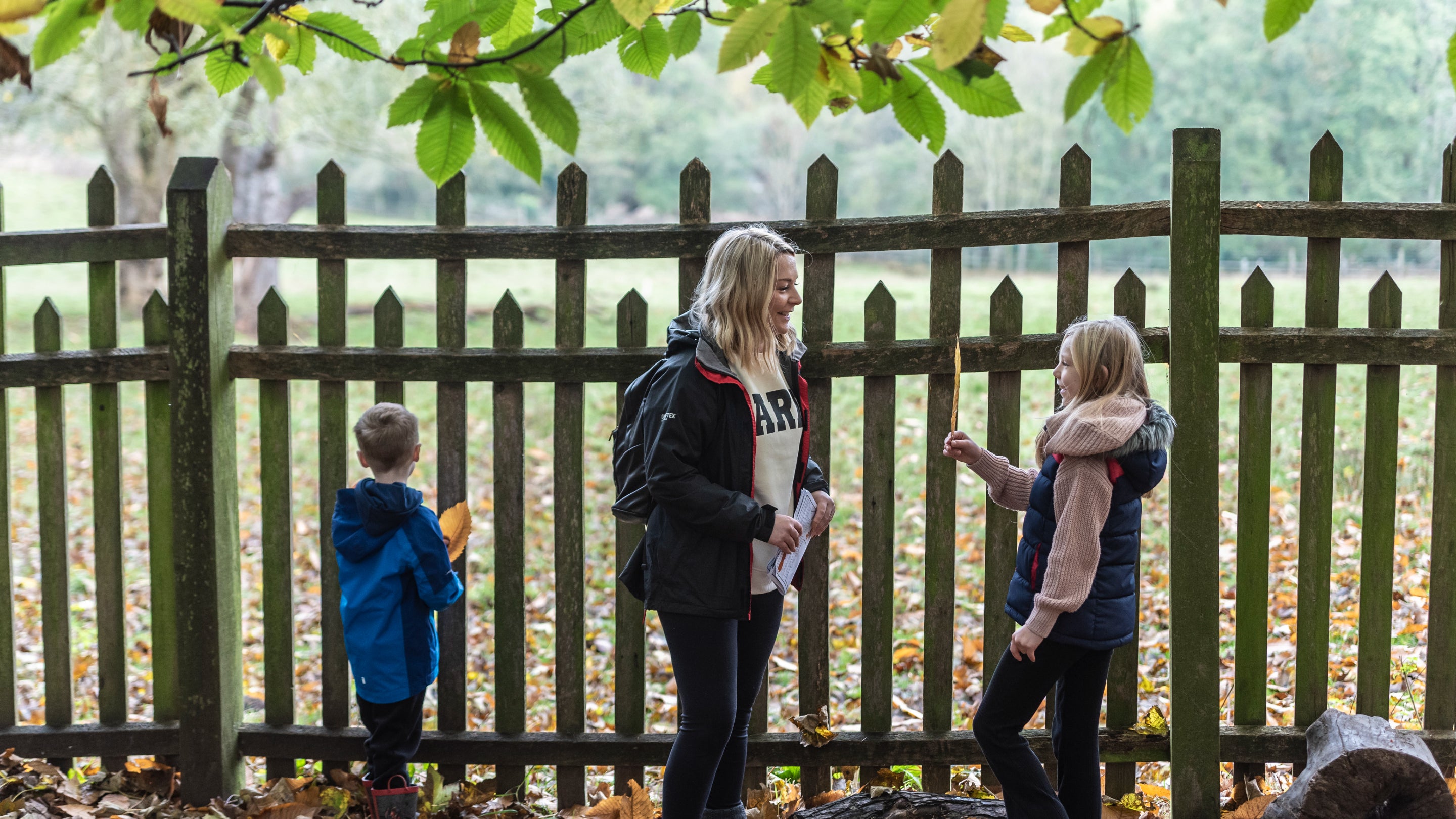 Families look over the deer park at Calke Abbey in autumn